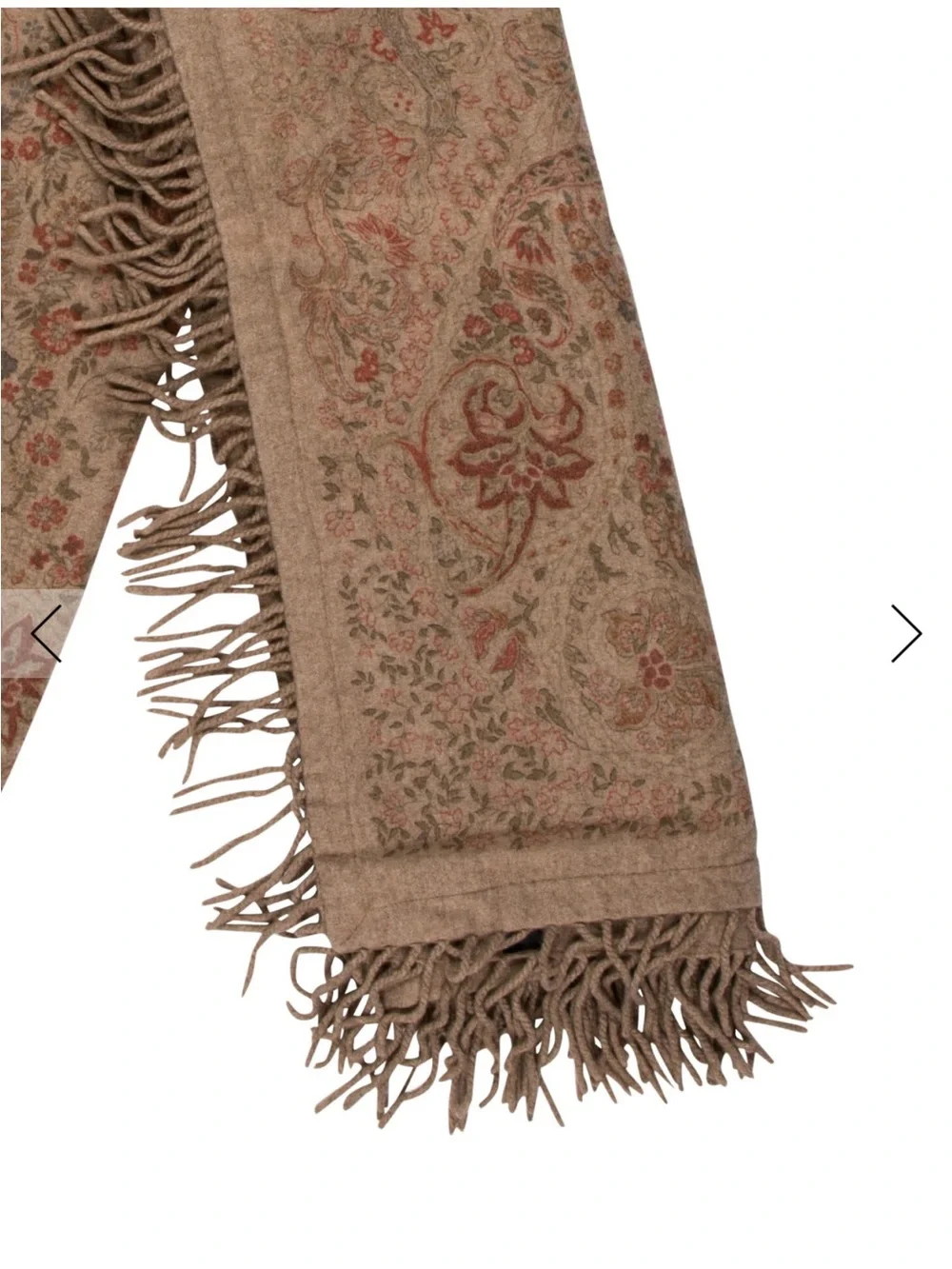 Etro Cashmere Floral Paisley Fringe Throw Blanket Home
